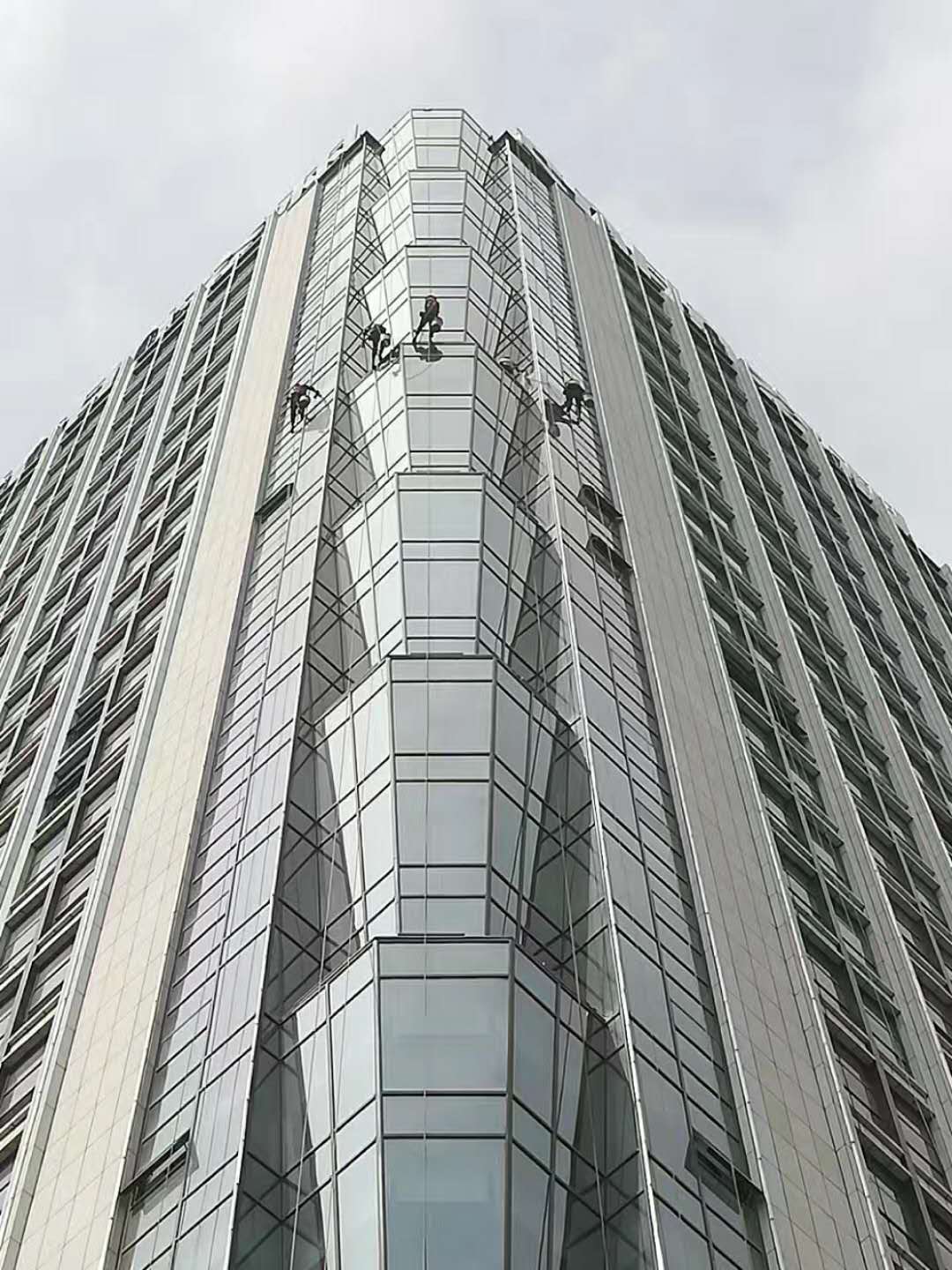 济南黄瓜视频污下载